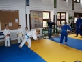 judobem_2013-02