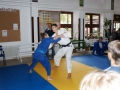 judobem_2013-07